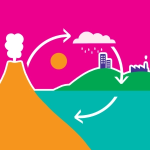 Ciclo de carbono
