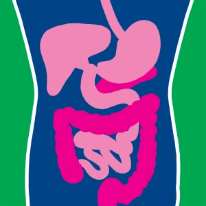 Absorción Intestinal #2