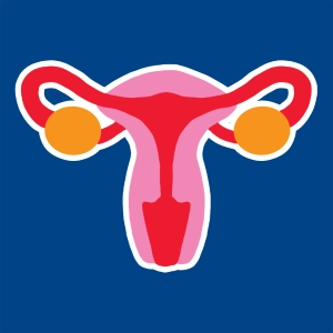 Aparato reproductor femenino
