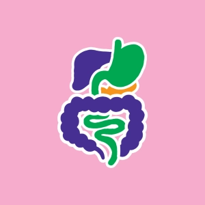 Digestión