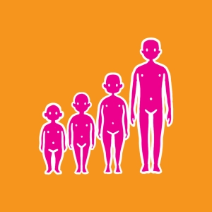 Évolution du corps de l'enfant